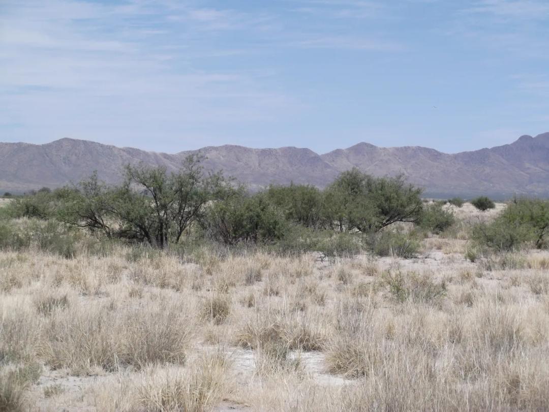 6 adjoining lots in Historic Cochise County Arizona
