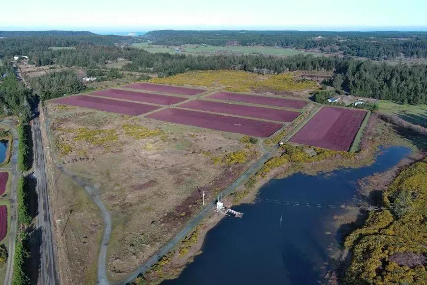 Cranberry Farm and Home