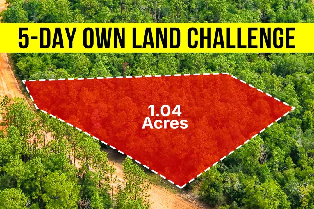 Own A 1.04-Acre Peaceful Private Area Lot In FL, No HOA - Owner Financing