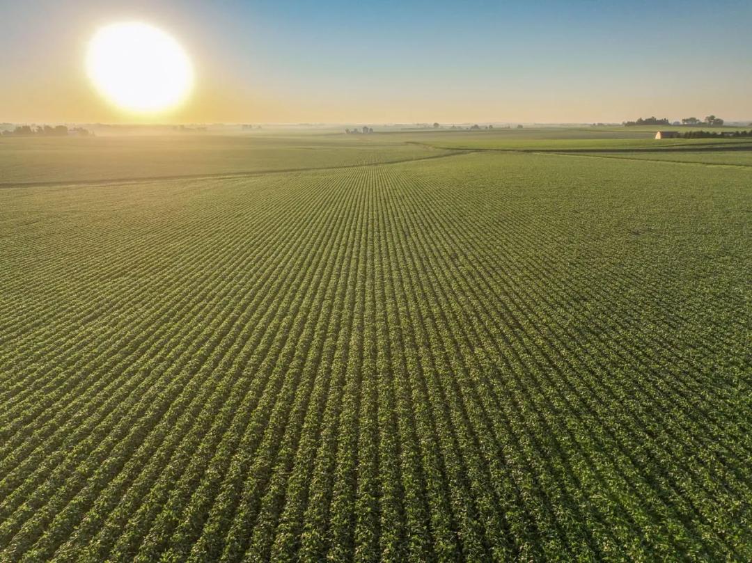 Listing #19517 - 157.47 acres in Butler County, IA