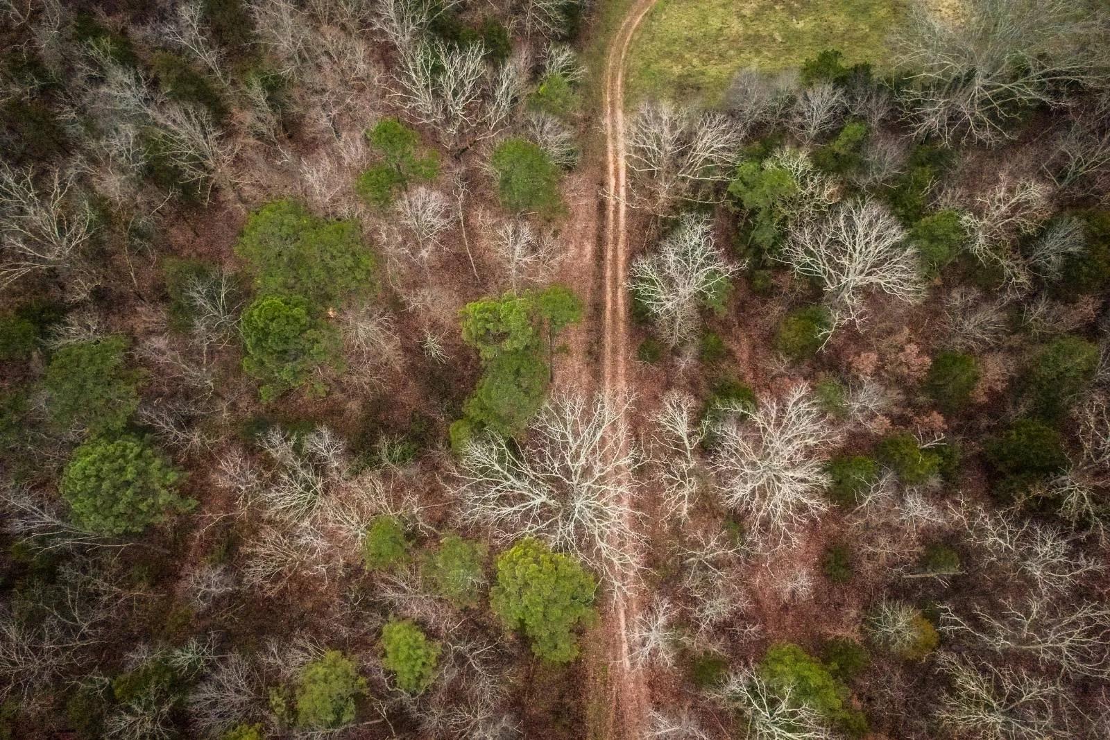 59088737-18