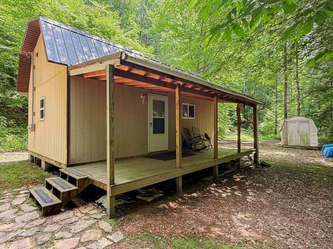 49.51 +- Acres With Cabin in Frametown, WV!