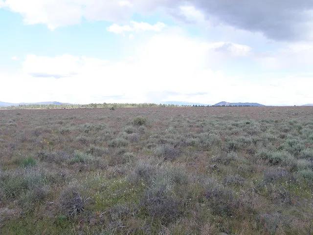 59206407-8