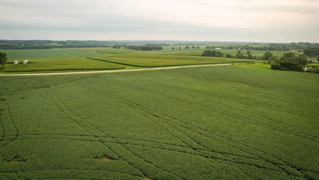 Listing #19295 - Indianola, IA