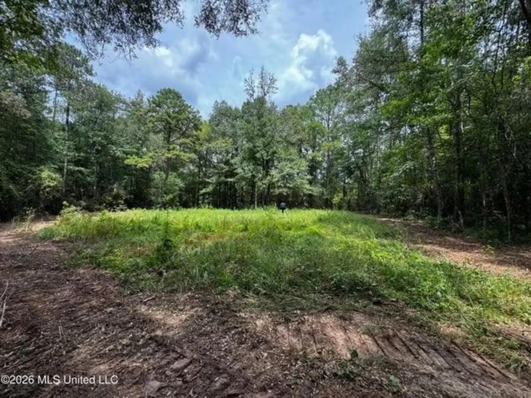 30 Acres of Mature Timber for Sale in Pike County, MS