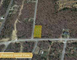 img_035-acre-in-izard-county-arkansas-own-for-199-per-month-parcel-number-800-10308-000once-upon-a-brick-inc-land-investmentsown-for-199-per-montharkansas-943836_1024x1024@2x