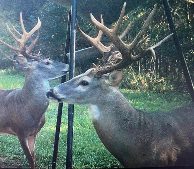 LA - Catahoula 247 acres +/-