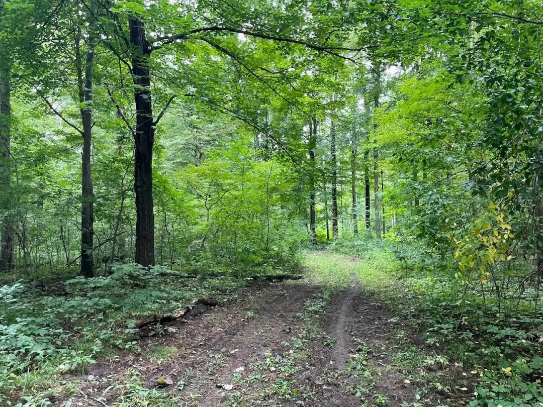 72 acres Premier Hunting Land in Albion NY East Lee Road