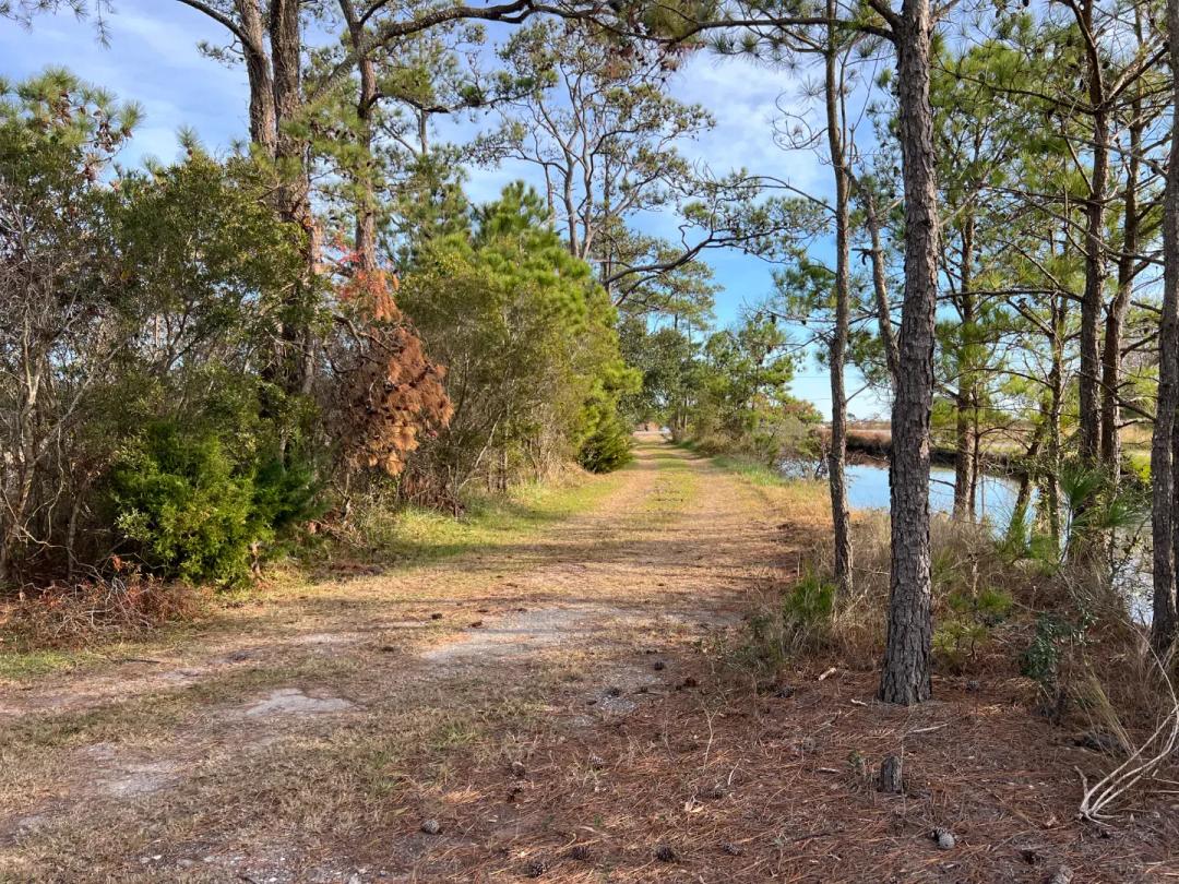9-AC Hyde County Tract Below Tax Value