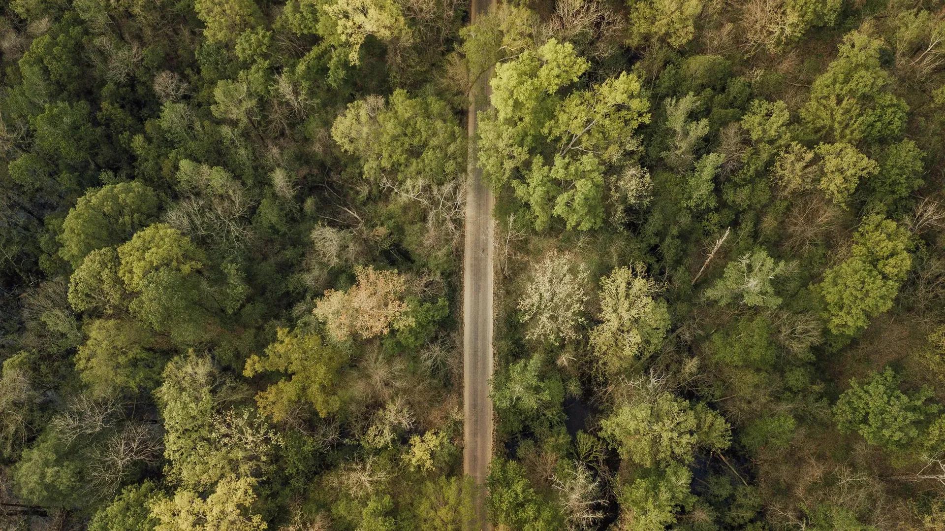59281574-9