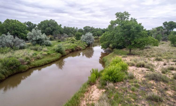 Pecos Bosque Ranch