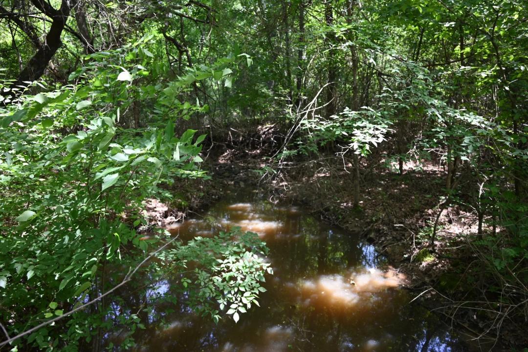 17.50 Acres at 17 N3772 RD