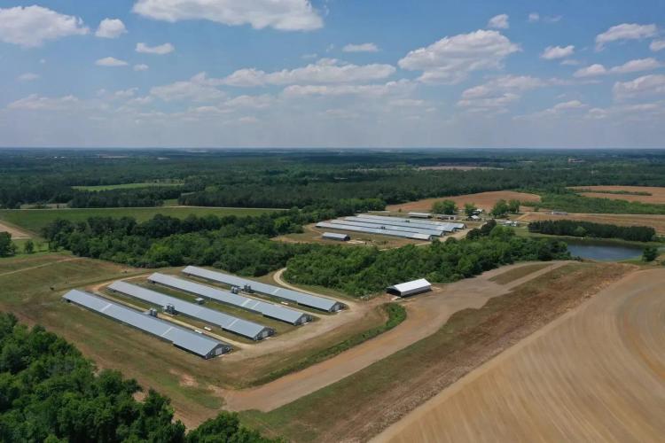 A&amp;R Broiler Farm – 8 House Farm in Colquitt County, Georgia