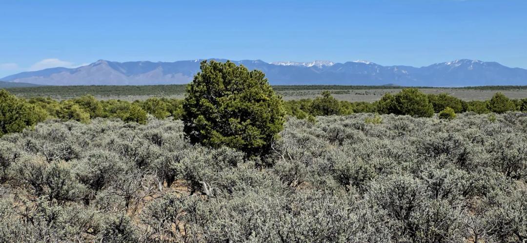 Taos New Mexico land sale. 1/2 acre no restrictions
