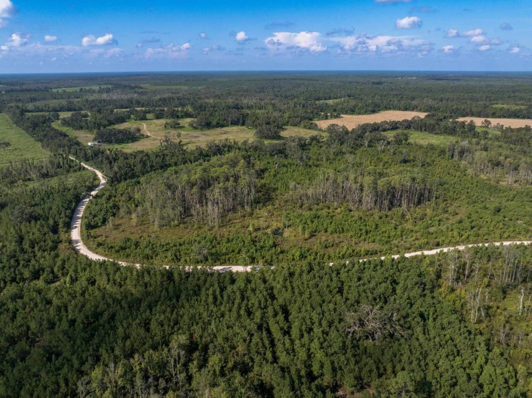 Welcome to Delray Oaks Ranch, a sprawling 440-acre property