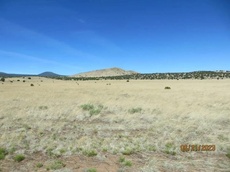 The Colter Babbitt Ranch