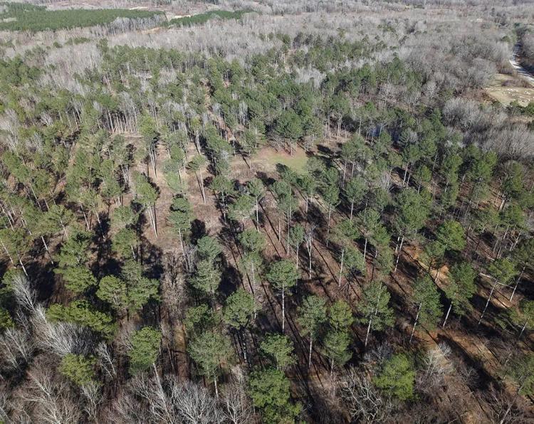 308 Acres in Tallahatchie County, MS 