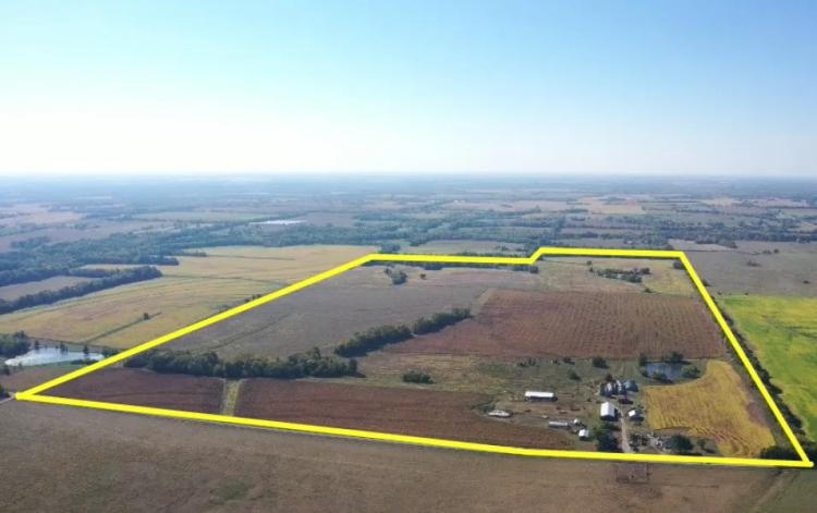 254+/- Acres of Prime Row Crop with Home and Outbuildings