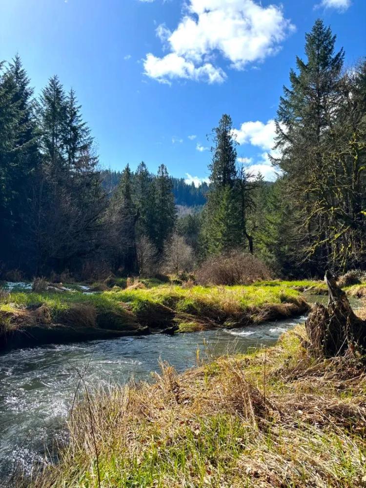 South Fork