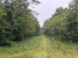 59429639-6