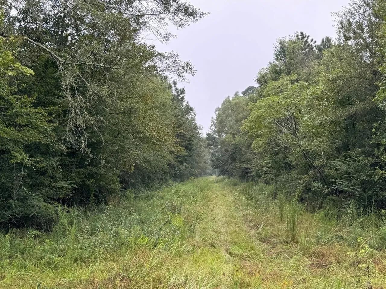 59429639-6