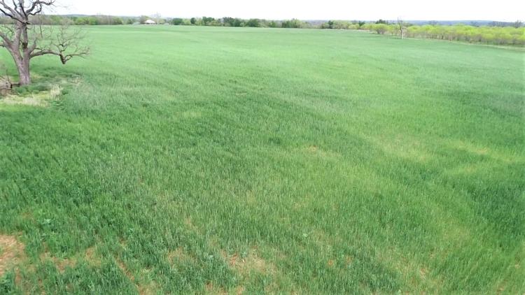Land for Sale in Bend, TX