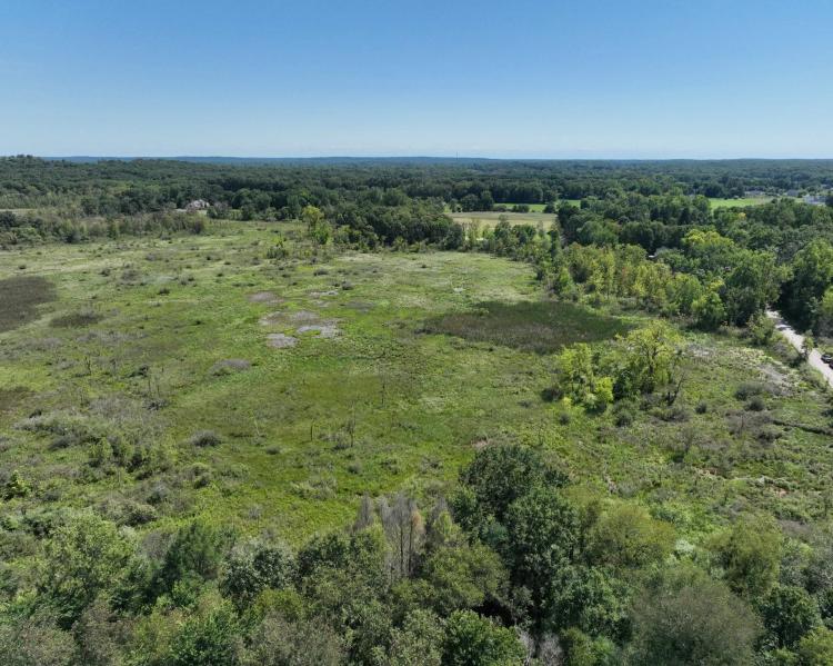 Bentley Lake Road 15