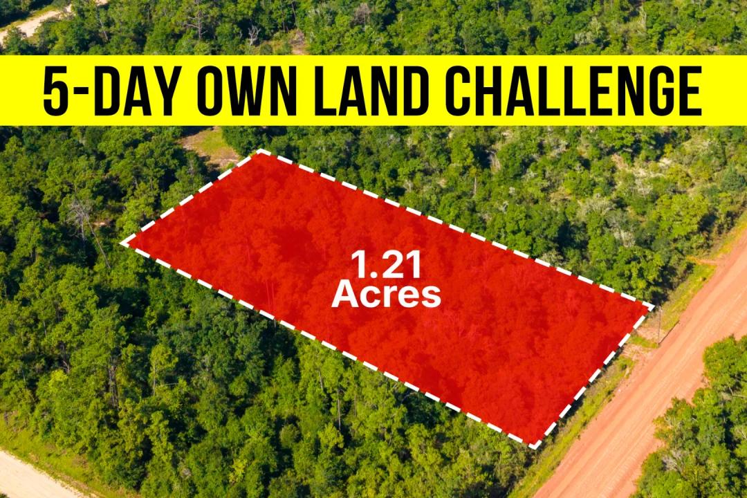 Own a 1.21-Acre No HOA Lot in FL, Near Paved Road Access - Owner Financing