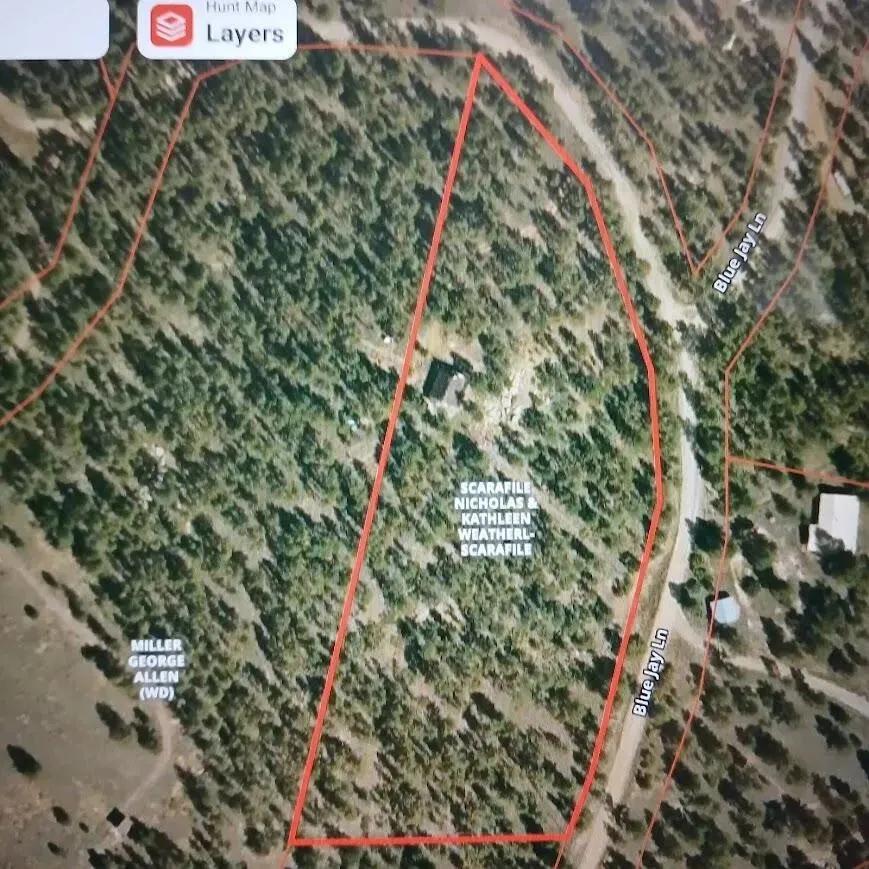 59489289-25