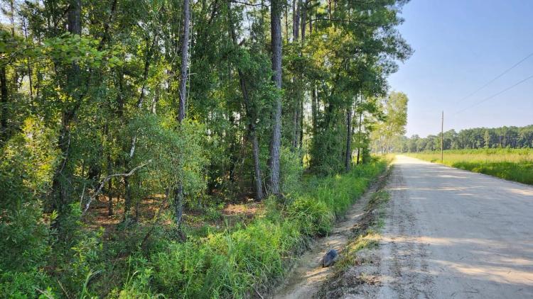 2+/- Acre Residential Land in Camden County