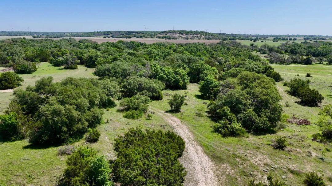 80 +/- Acres...Surface water, Elevation, Oaks, Hunting