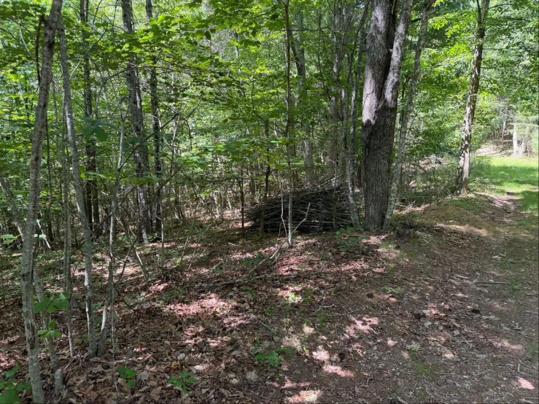 63.5 Acres for Sale in Montgomery County, Virginia!