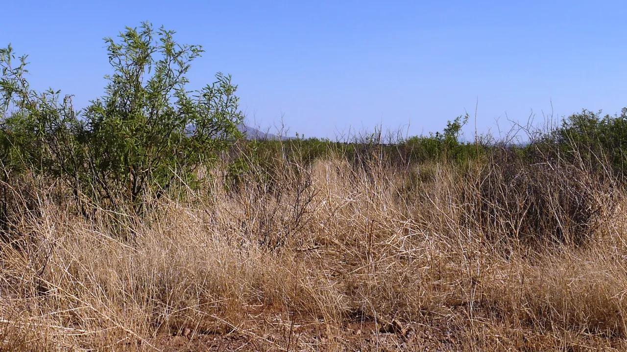59635756-1