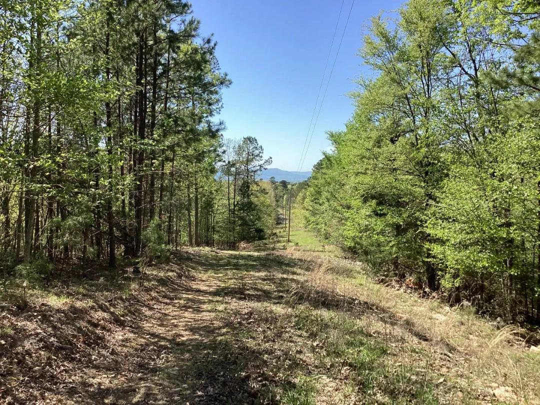 4 Acres (Tract 7) in Polk County, AR 