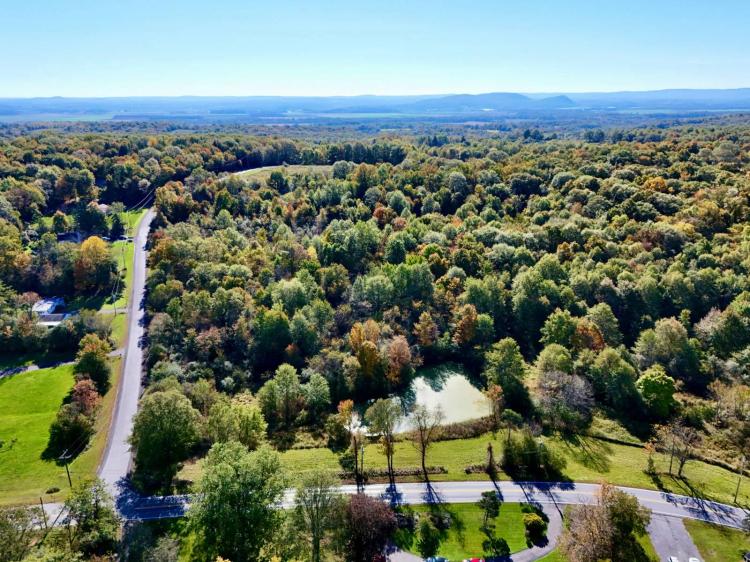 Sloping Woodland and Pond Offering Potential for Building