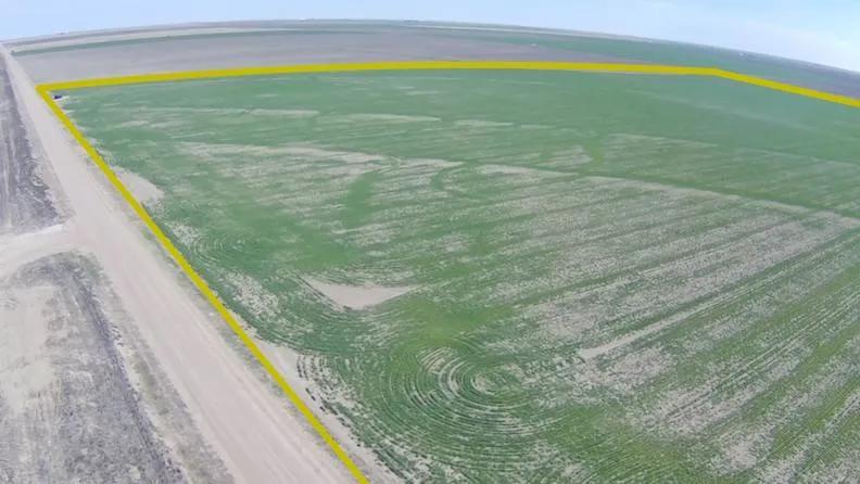 Half Section of Kearny Co. Dry Land