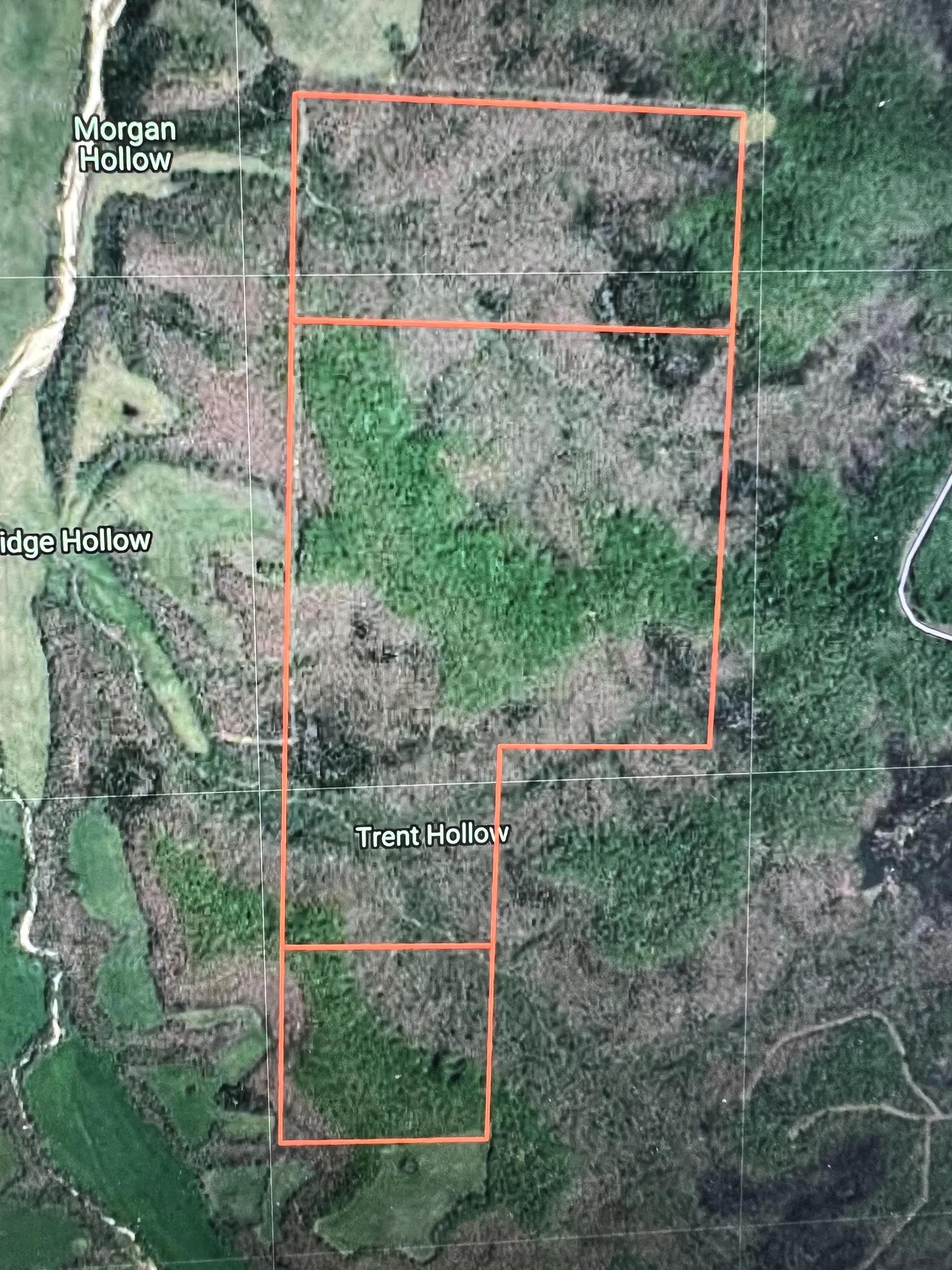 59810053-21