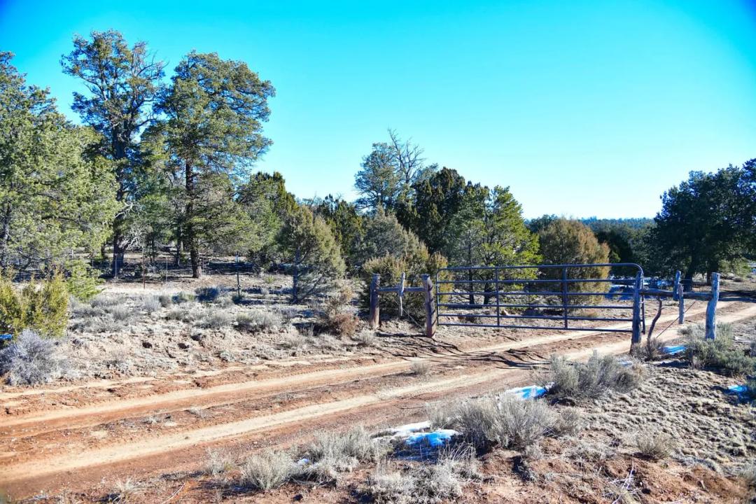 Oso Ridge 40