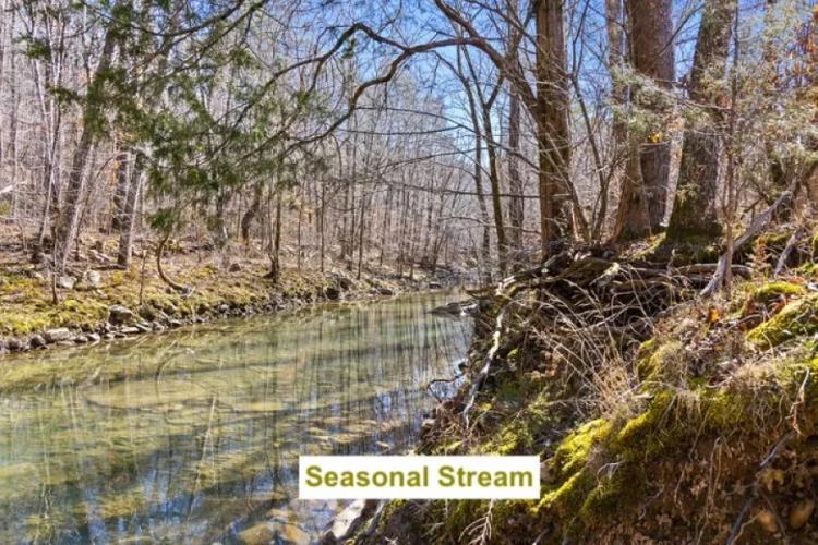 850+/- Acres in North Georgia... A SPORTSMAN'S PARADISE! 