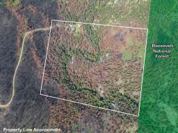 59889200-31