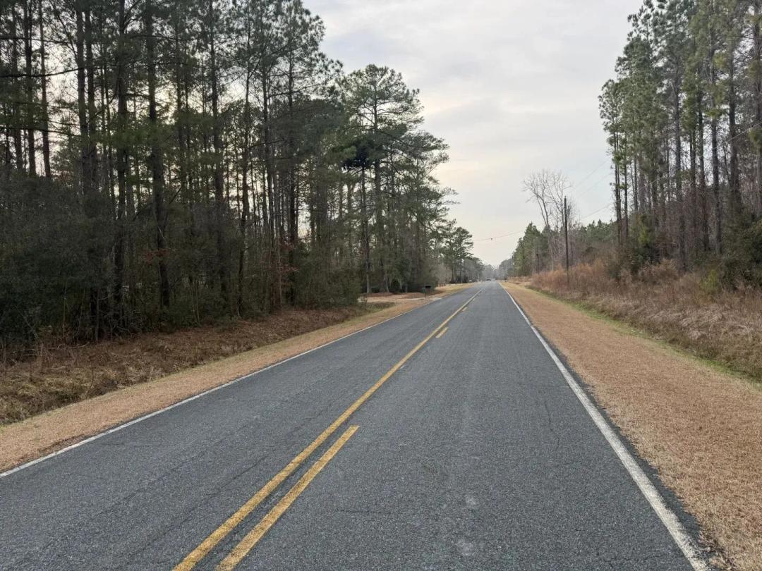 9.5 Acres Timberland Near New Bern & Washington NC