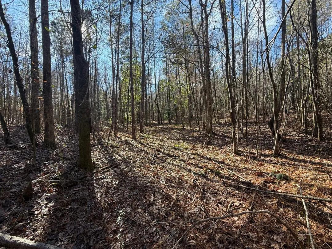 42 +/- ac in Kellyton