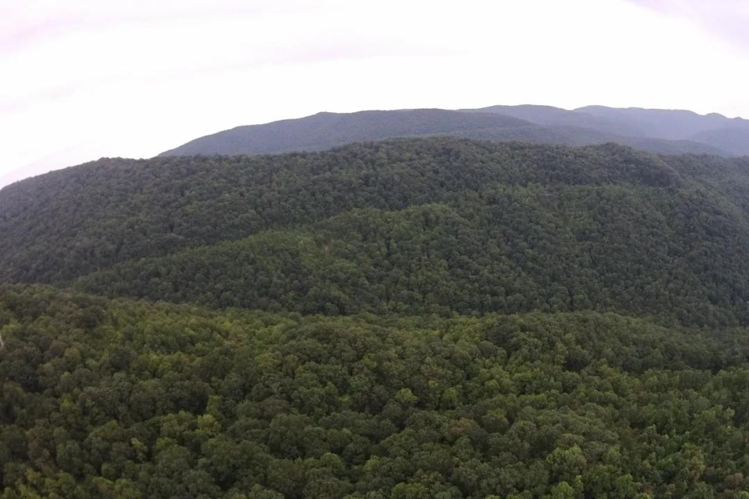 1016.06+/-acres of pristine East Tennessee mountain land