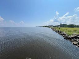 IMG_4542