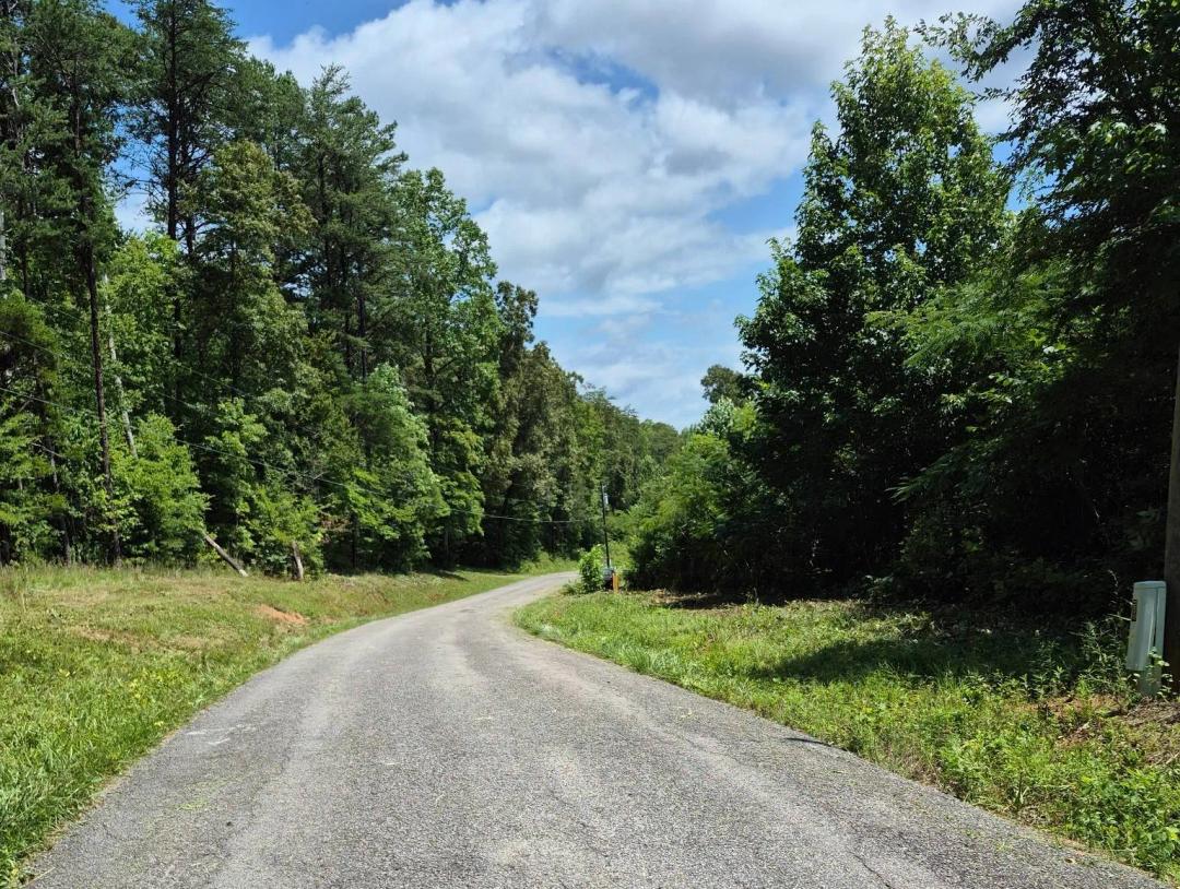 58 Acres in Ballplay, Monroe Co TN