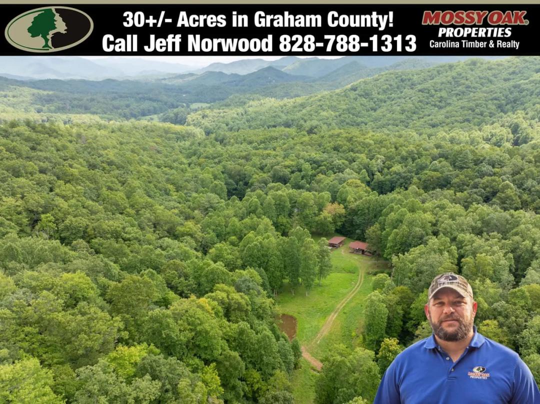 30+/- Acres In Graham County, NC!