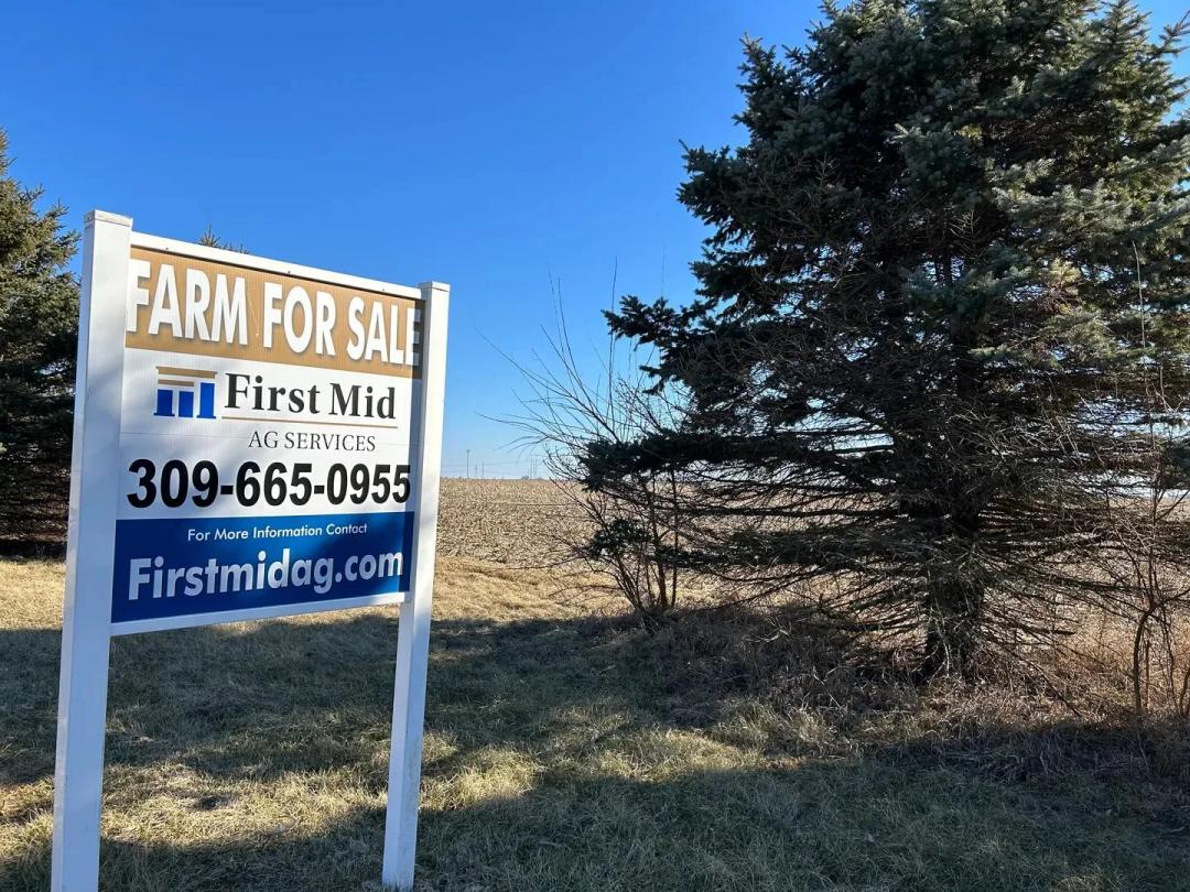 The Ireland Grove Road Farm