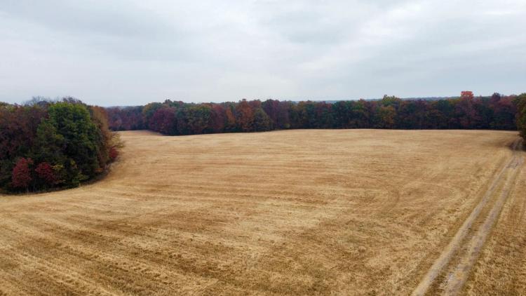 372.50 Acres at 0000 Polston Ln
