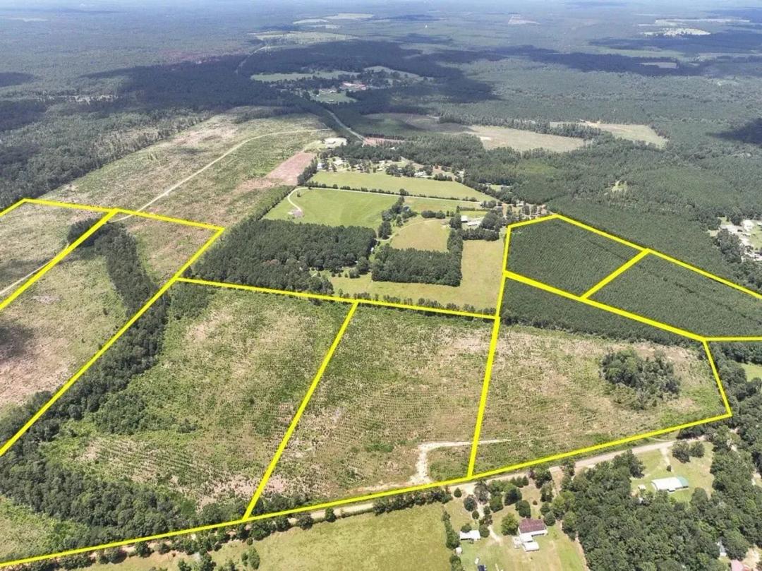 12 Acres | T-11 | FM 1276 | 00011