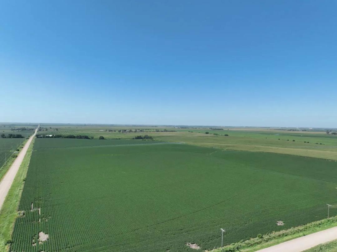 Irrigated Land for Sale | 79+/- Acres | Hamilton County, NE